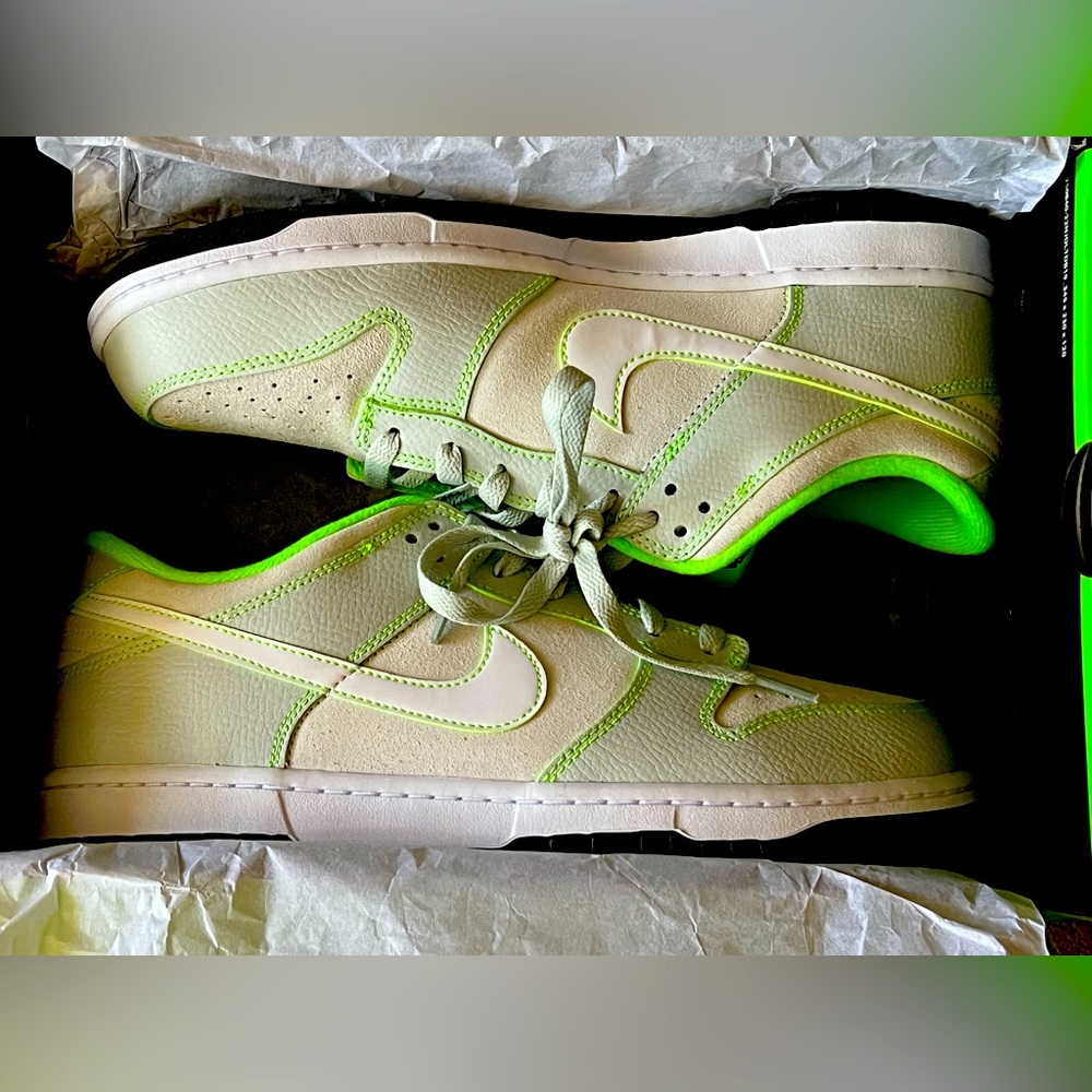 Men’s Nike Oregon Duck Dunks